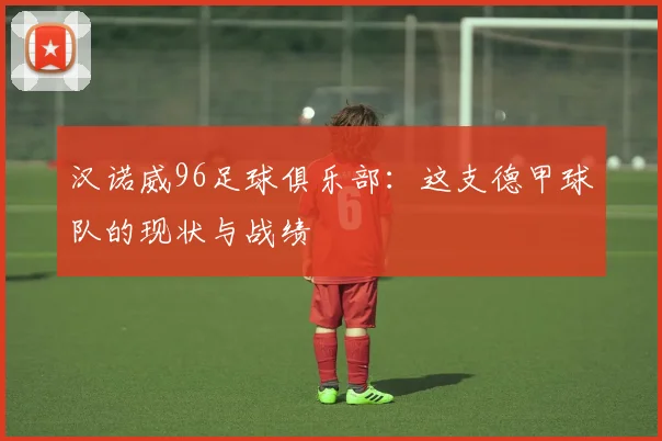 汉诺威96足球俱乐部:这支德甲球队的现状与战绩