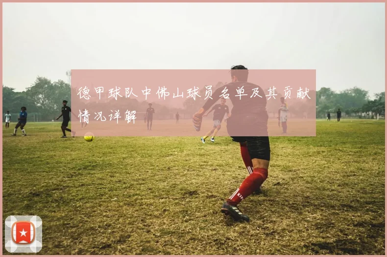 德甲球队中佛山球员名单及其贡献情况详解