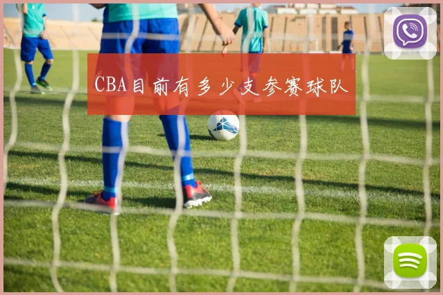 CBA目前有多少支参赛球队