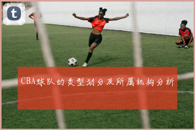 CBA球队的类型划分及所属机构分析