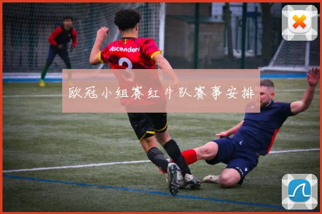 欧冠小组赛红牛队赛事安排
