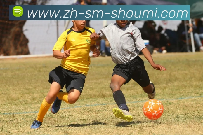 收米体育直播平台生态图